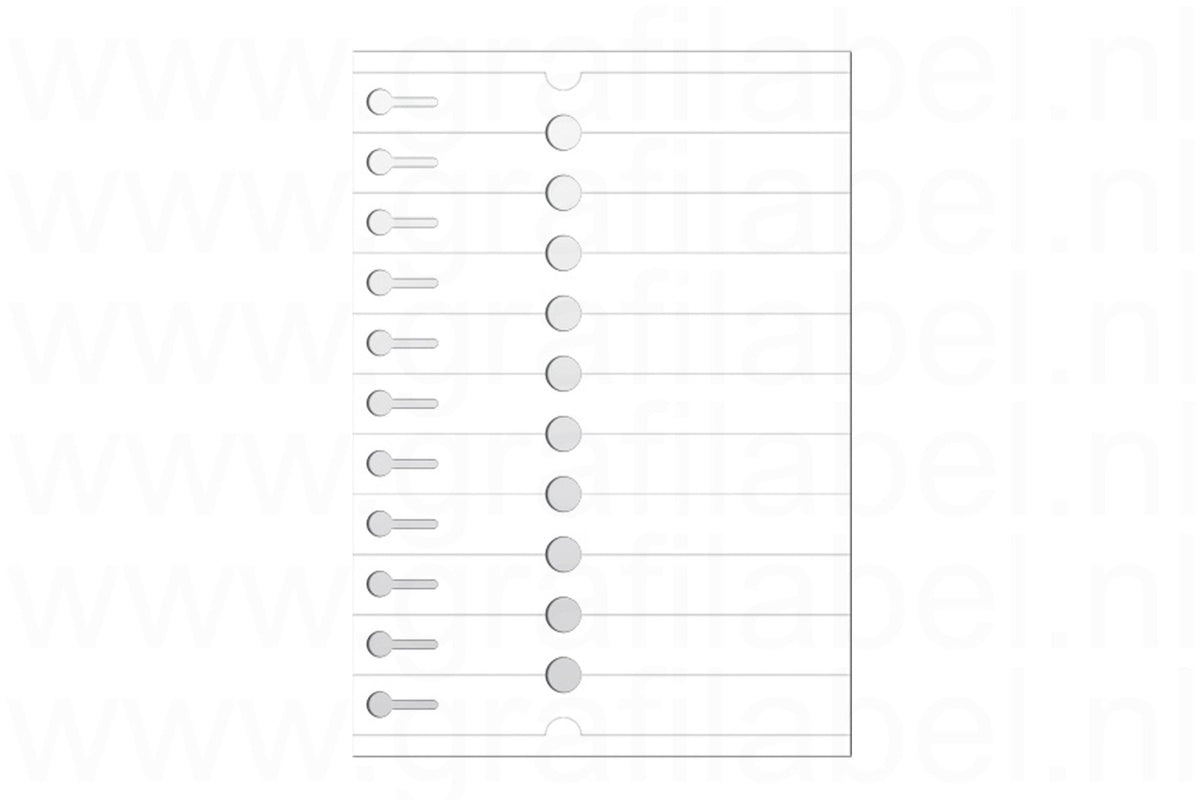 Wit Sleufetiket / Plantenlabel A4 laservel (polyester) 21x2,54cm - 11 per vel