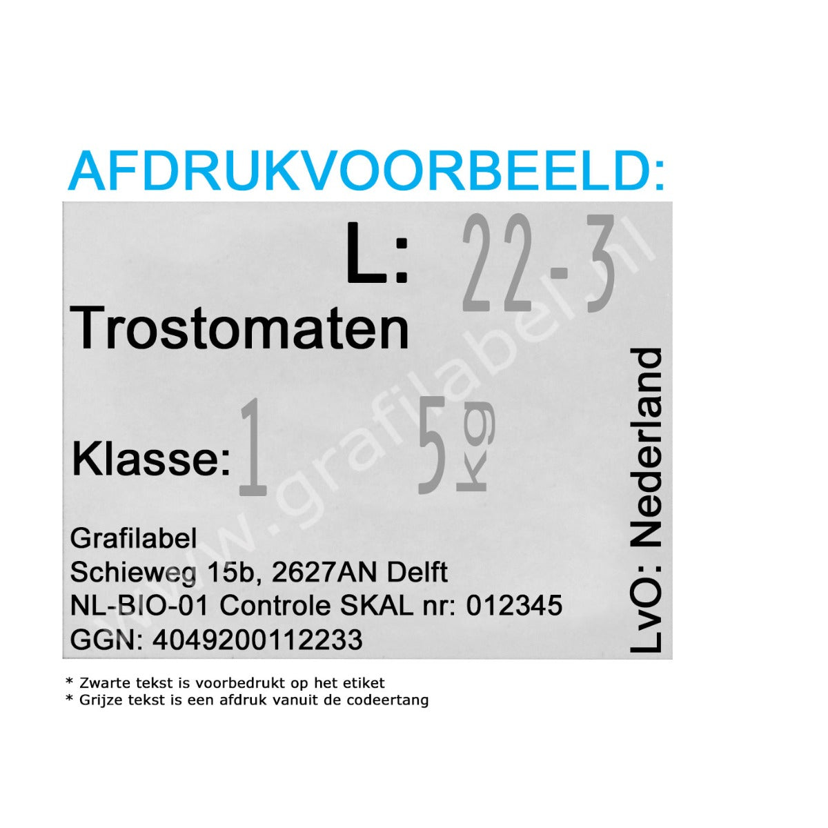 Codeertang Blitz 2-regelig voor 37x28mm etiket (W-model) 