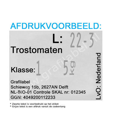 Codeertang Blitz 2-regelig voor 37x28mm etiket (W-model) 