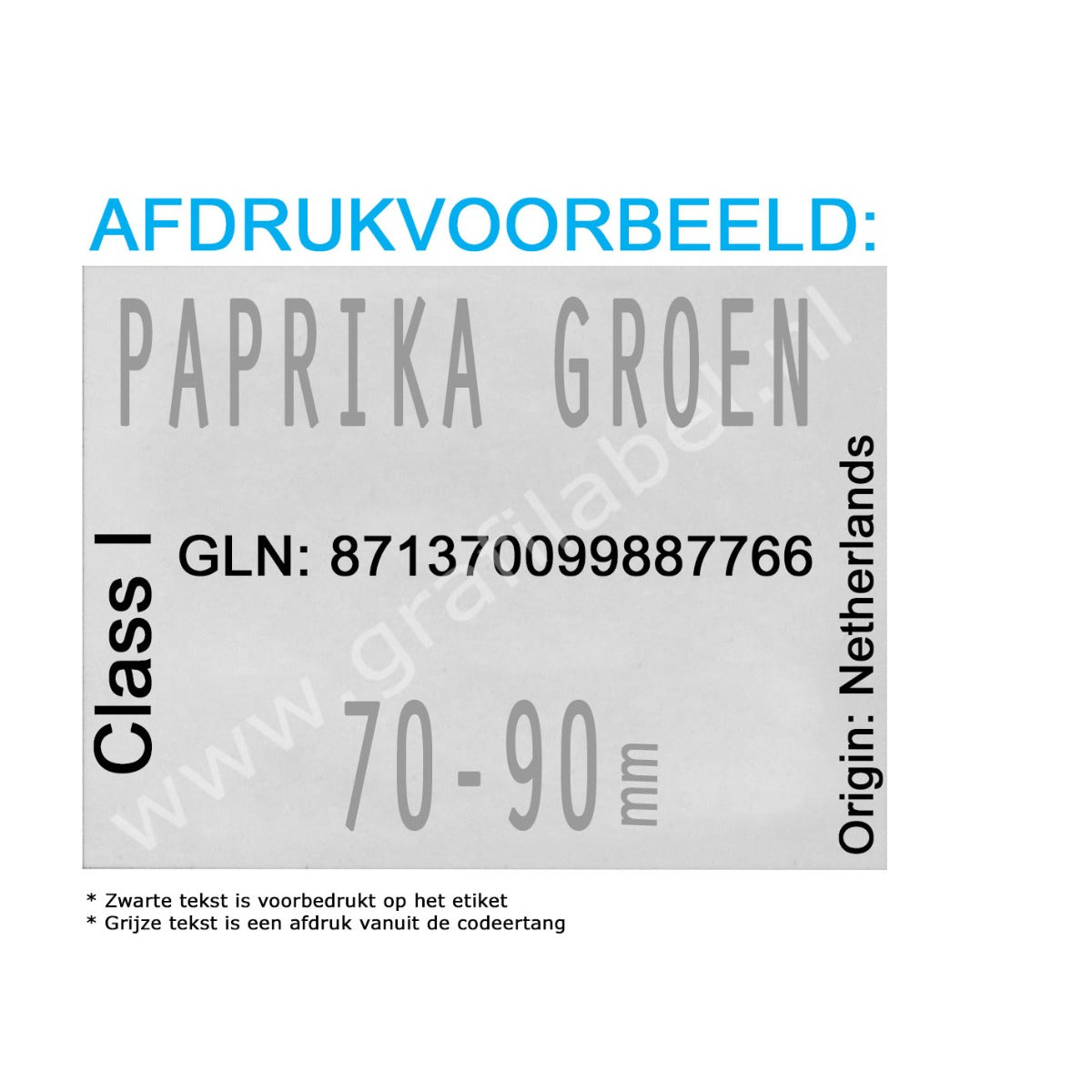 Codeertang Blitz 2-regelig voor 37x28mm etiket (W-model) 