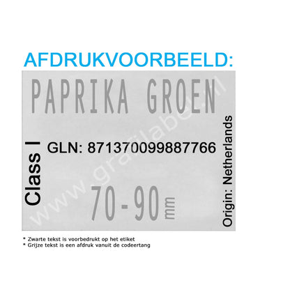 Codeertang EVO 2-regelig voor 37x28mm etiket (W-model) 