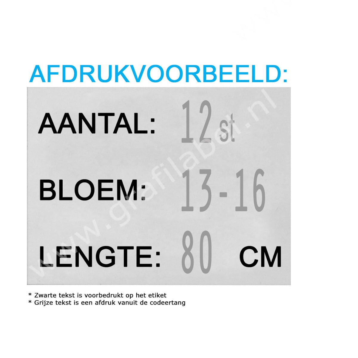 Codeertang Blitz 3-regelig voor 37x28mm etiket (W-model) 