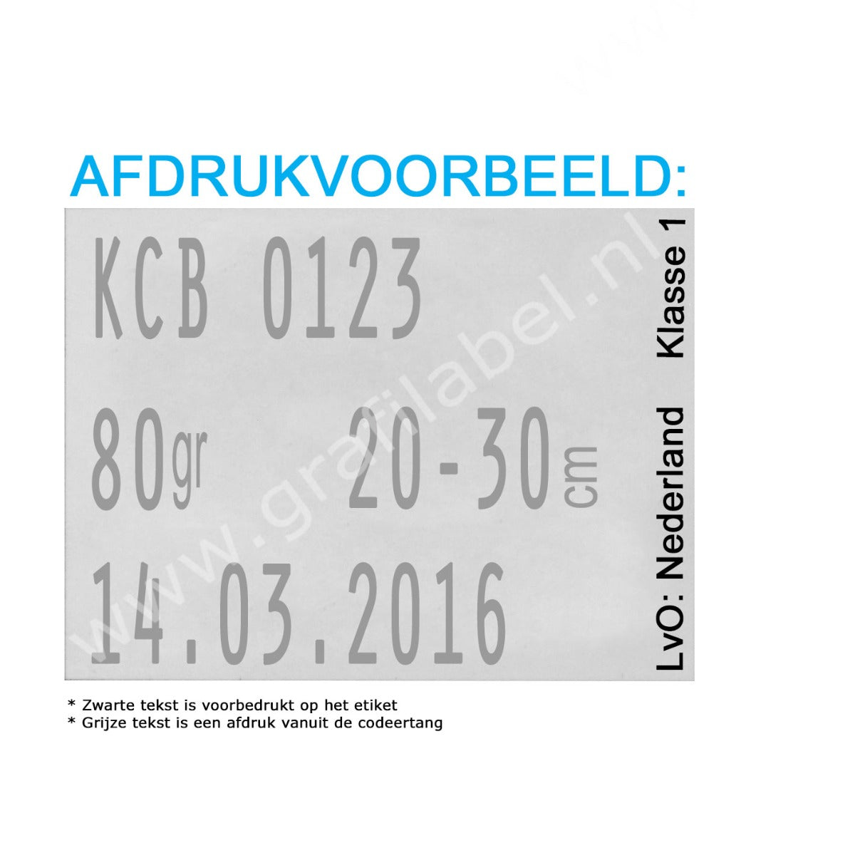 Codeertang Blitz 3-regelig voor 37x28mm etiket (W-model) 