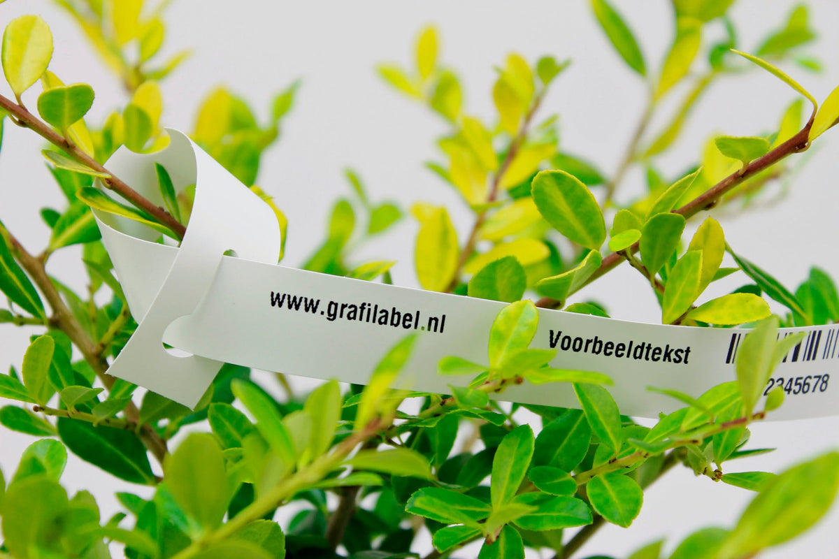 Wit Sleufetiket / Plantenlabel HDPE200 - 25 x 2,5cm (4 baans)